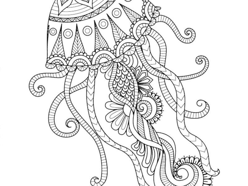 Adult coloring16