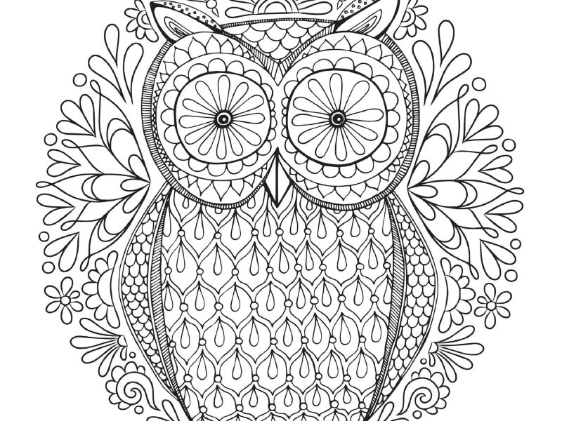 Adult coloring18