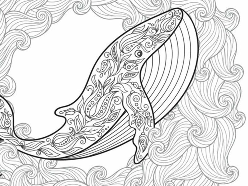 Adult coloring 4